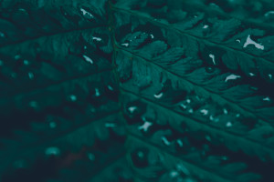 无畏契约赛事直播，年轻人追逐梦想的舞台！